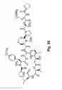 Fig. 29 - Didemnin analogs and fragments and methods of making and using them