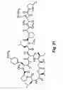 Fig. 30 - Didemnin analogs and fragments and methods of making and using them
