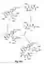 Fig. 37 - Didemnin analogs and fragments and methods of making and using them