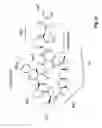 Fig. 40 - Didemnin analogs and fragments and methods of making and using them