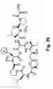 Fig. 43 - Didemnin analogs and fragments and methods of making and using them