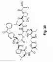 Fig. 44 - Didemnin analogs and fragments and methods of making and using them