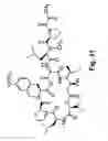 Fig. 45 - Didemnin analogs and fragments and methods of making and using them
