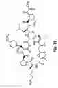 Fig. 47 - Didemnin analogs and fragments and methods of making and using them