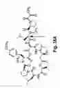 Fig. 49 - Didemnin analogs and fragments and methods of making and using them