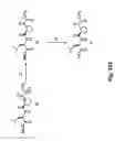 Fig. 52 - Didemnin analogs and fragments and methods of making and using them
