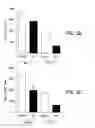 Fig. 04 - Compositions and methods for promoting wound healing and tissue repair