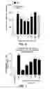 Fig. 07 - Compositions and methods for promoting wound healing and tissue repair