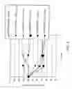 Fig. 03 - Peptide agonists of GLP-1 activity