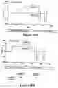Fig. 11 - Purification of vascular endothelial growth factor-B