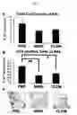 Fig. 07 - Remedy for sarcoidosis and method of treating the same