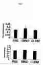 Fig. 10 - Remedy for sarcoidosis and method of treating the same