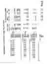 Fig. 04 - Synthetic gene encoding human epidermal growth factor 2/neu antigen and uses thereof