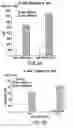 Fig. 05 - Synthetic gene encoding human epidermal growth factor 2/neu antigen and uses thereof