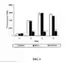 Fig. 05 - Inhibition of HIV and SHIV replication with antisense interleukin-4