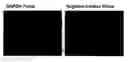 Fig. 01 - High affinity probes for analysis of human papillomavirus expression