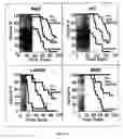 Fig. 22 - Dbait and uses thereof