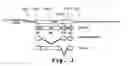 Fig. 04 - Immunosuppression compound and treatment method