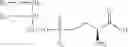 Fig. 19 - Pharmaceutical compositions for the administration of aptamers