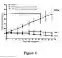Fig. 09 - Methods of treating cell proliferative disorders using a compressed temozolomide dosing schedule