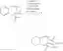 Fig. 23 - Carbocyclic fused cyclic amines