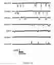 Fig. 05 - Method of modulating ion channel functional activity