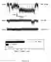Fig. 09 - Method of modulating ion channel functional activity