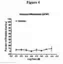 Fig. 05 - GABA RECEPTOR MEDIATED MODULATION OF NEUROGENESIS