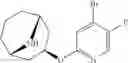 Fig. 113 - 9-azabicyclo[3.3.1]nonane derivatives