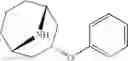 Fig. 148 - 9-azabicyclo[3.3.1]nonane derivatives