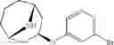 Fig. 155 - 9-azabicyclo[3.3.1]nonane derivatives