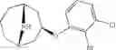 Fig. 161 - 9-azabicyclo[3.3.1]nonane derivatives