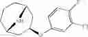 Fig. 166 - 9-azabicyclo[3.3.1]nonane derivatives
