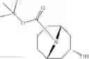 Fig. 17 - 9-azabicyclo[3.3.1]nonane derivatives