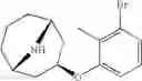 Fig. 171 - 9-azabicyclo[3.3.1]nonane derivatives