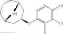 Fig. 172 - 9-azabicyclo[3.3.1]nonane derivatives