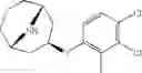 Fig. 173 - 9-azabicyclo[3.3.1]nonane derivatives