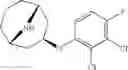 Fig. 174 - 9-azabicyclo[3.3.1]nonane derivatives
