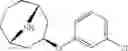 Fig. 178 - 9-azabicyclo[3.3.1]nonane derivatives