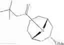 Fig. 183 - 9-azabicyclo[3.3.1]nonane derivatives