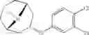 Fig. 189 - 9-azabicyclo[3.3.1]nonane derivatives