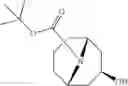 Fig. 20 - 9-azabicyclo[3.3.1]nonane derivatives