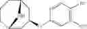 Fig. 68 - 9-azabicyclo[3.3.1]nonane derivatives