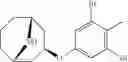 Fig. 71 - 9-azabicyclo[3.3.1]nonane derivatives