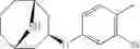 Fig. 75 - 9-azabicyclo[3.3.1]nonane derivatives