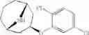 Fig. 92 - 9-azabicyclo[3.3.1]nonane derivatives