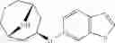 Fig. 95 - 9-azabicyclo[3.3.1]nonane derivatives