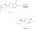 Fig. 05 - Acylated and non-acylated imidazo[2,1-b]-1,3,4,-thiadiazole-2-sulfonamides, and uses thereof