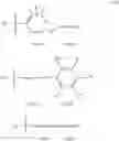 Fig. 08 - Acylated and non-acylated imidazo[2,1-b]-1,3,4,-thiadiazole-2-sulfonamides, and uses thereof