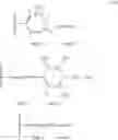 Fig. 121 - Acylated and non-acylated imidazo[2,1-b]-1,3,4,-thiadiazole-2-sulfonamides, and uses thereof